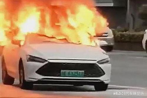 比亚迪海豚爆料视频最新,时尚智能小车,性能与颜值并重 第3张 比亚迪海豚爆料视频最新,时尚智能小车,性能与颜值并重 第3张